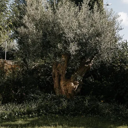 Βίλα Papadria - Modern Luxury Near Kathisma *